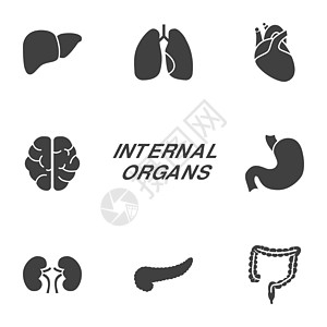 内部器官字形图标解剖学药品生物学科学医疗白色膀胱肠胃人体插图图片