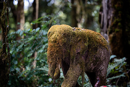 苔藓覆盖的大象雕像石头动物雕塑家图片