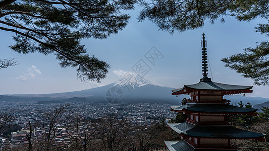 与藤山同在的Chureito红塔图片