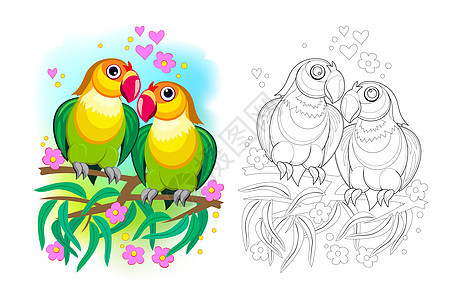 一对浪漫的鹦鹉情侣的幻想插图 用于着色书的彩色和黑白页面 热带鸟类 儿童教科书的可打印工作表 平面卡通矢量图片