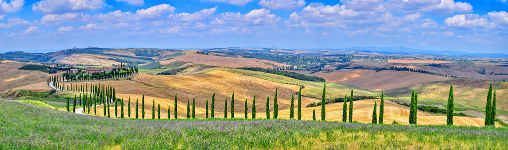 树和草地与典型的Tuscan房子农村丘陵爬坡天空场地农田农场社论蓝色国家图片