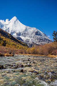 在Yading自然的秋天森林和雪山中多姿多彩蓝色季节国家爬坡背包风景冰川远足旗帜松树图片