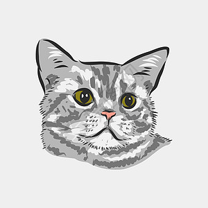国内猫写实矢量素描插画 ca 的标志眼睛尾巴插图草图艺术宠物标识哺乳动物小猫食肉图片