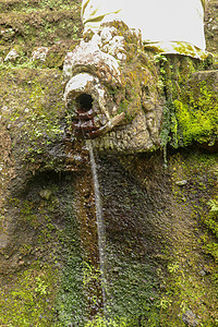 乌达扬王朝皇家陵墓中的圣水石像鬼 寺的古代皇家陵墓 巴厘岛 以雕刻在石崖上的皇家陵墓为中心的丧葬建筑群雕像乌布传统旅行宗教热带岩图片