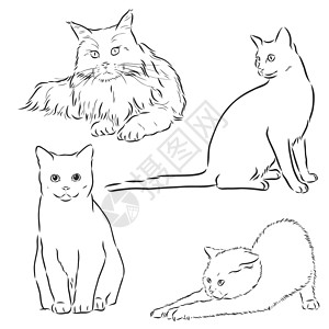 猫集矢量插画手绘可爱毛茸茸的猫 家猫集矢量素描它制作图案猫科卡通片小猫胡子中风哺乳动物气泡艺术尾巴模版图片