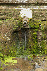 乌达扬王朝皇家陵墓中的圣水石像鬼 寺的古代皇家陵墓 巴厘岛 以雕刻在石崖上的皇家陵墓为中心的丧葬建筑群热带石头森林寺庙乌布建筑学图片