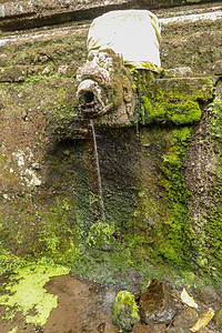 乌达扬王朝皇家陵墓中的圣水石像鬼 寺的古代皇家陵墓 巴厘岛 以雕刻在石崖上的皇家陵墓为中心的丧葬建筑群神社旅游文化寺庙雕像宗教热图片