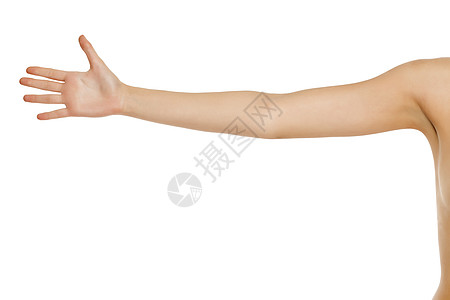白色的全女性手臂肩膀女士棕榈皮肤身体女孩图片