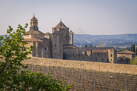 西班牙加泰罗尼亚地区或的Cistercian修道院建筑学遗产旅游旅行葡萄园地标建筑宗教房子大教堂图片