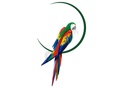 鹦鹉标志创意设计美丽的猩红色金刚鹦鹉鸟在自然颜色矢量插图隔离或白色背景蓝色动物群卡通片翅膀热带荒野动物园情调野生动物水彩图片