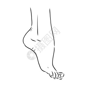 人类女人赤脚画线 矢量图素描身体指甲标识手指男性姿势女士女性草图插图图片