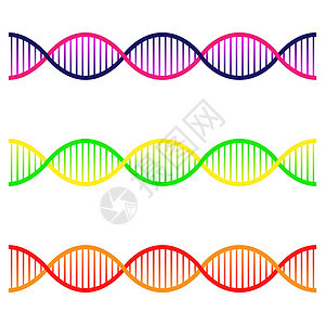 图标集的 Dna 多边形 DNA 的概念  DNA遗传学健康科学药品生物学基因螺旋染色体空白技术遗传学图片