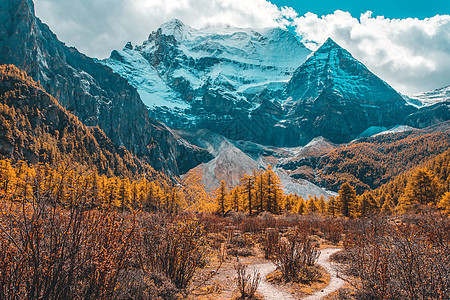 在Yading自然的秋天森林和雪山中多姿多彩公园蓝色白色旅行旗帜国家黄色季节图片