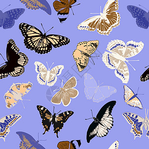 现实蝴蝶的无缝模式 它制作图案矢量图昆虫动物艺术绘画插图装饰品翅膀异国热带墙纸图片