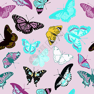 现实蝴蝶的无缝模式 它制作图案矢量图打印热带装饰品昆虫纺织品墙纸织物丛林翅膀橙子图片