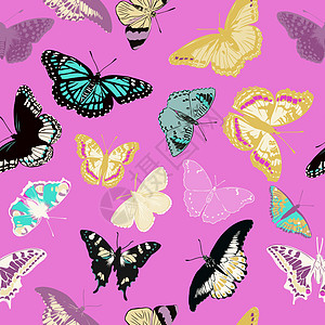 现实蝴蝶的无缝模式 它制作图案矢量图丛林墙纸装饰品异国纺织品织物剪影绘画打印翅膀图片