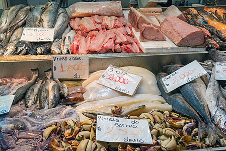 新鲜鱼类和海鲜鱼牡蛎食物渔业美食饮食海洋鲭鱼小龙虾钓鱼营养图片