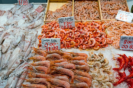 供出售的虾和鱿鱼图片