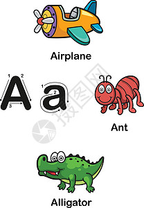 字母 A 飞机 蚂蚁 鳄鱼矢量图图片