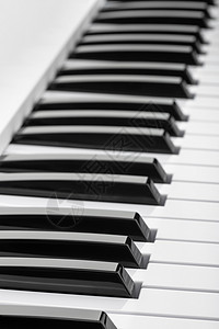 音乐键盘的黑白键艺术音乐家电子黑色旋律工作室乐器笔记选择性合成器图片