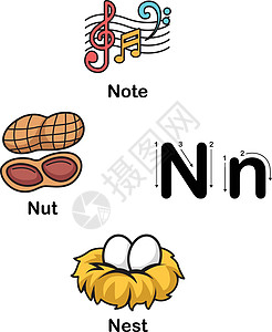 字母 N-note nut nest 矢量它制作图案图片