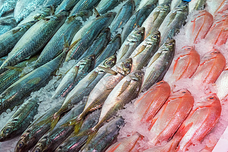出售新鲜鱼钓鱼销售渔业海洋市场皇帝营养海鲜鳕鱼食物图片