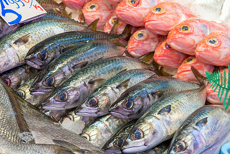 出售新鲜鱼皇帝饮食食物市场鳕鱼销售鲭鱼海洋海鲜盐水图片