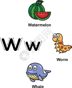 它制作图案的字母 W 西瓜 蠕虫 鲸鱼图片