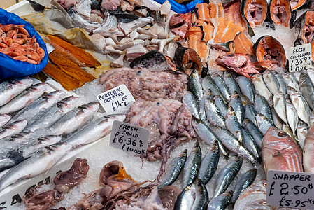出售的鱼和海鲜低音钓鱼美食鲭鱼市场章鱼海洋鲻鱼食物鲷鱼图片