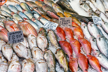 出售新鲜鱼食物饮食市场盐水鳕鱼海鲜销售鲭鱼鲻鱼渔业图片