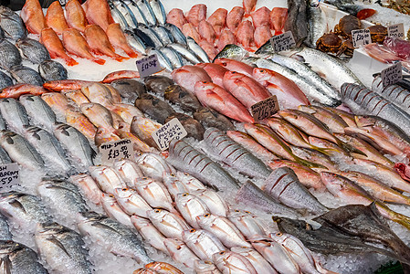 供市场销售的新鲜鱼营养食物海鲜低音鳟鱼鲻鱼鲷鱼渔业海洋钓鱼图片
