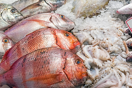 出售的鱼和鱿鱼乌贼鳕鱼美食销售海鲜钓鱼食物皇帝饮食海洋图片