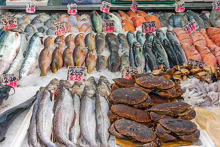 龙虾 章鱼和其他销售鱼类图片