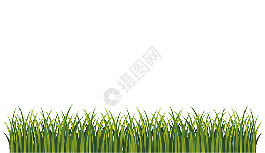 绿草底页全景框架矢量模式 新鲜的夏季草 图解说明图片