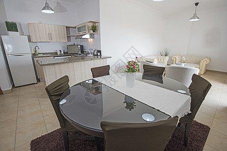 豪华公寓开放计划厨房内部设计设计装饰玻璃客厅早餐内阁椅子烤箱地毯桌子橱柜门图片