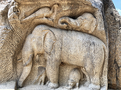 印度泰米尔纳德邦马哈巴利普兰的一石洞穴中 大象雕塑 猴子孔雀和猴子孔雀被刻在显著的位置上地标废墟浮雕宽慰岩石旅游纪念碑宗教文化雕图片