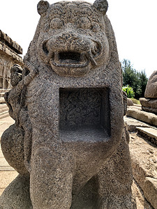 印度泰米尔纳德邦的独立花岗岩中雕刻的狮子石雕图片