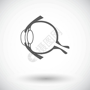 解剖眼解剖学卫生医疗鸢尾花插图药品眼球光学图表身体图片