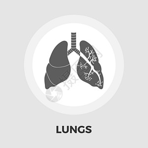 肺平 ico气管身体福利插图器官生物学支气管疾病卫生艺术图片