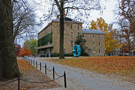 2011年11月15日 NJ2011年11月15日 普林斯顿 带有点的雕塑Oval研究学生机构建筑传统教育本科学校历史性联盟图片
