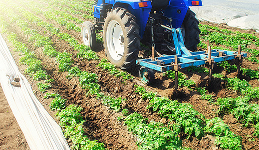 带有耕耘机的拖拉机正在处理农田 作物护理 农业农业 疏松土壤并去除杂草植物 改善土壤中的空气支撑和保水性能图片