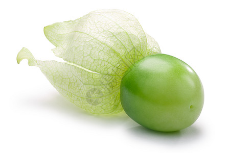 Tomatillo菲萨利斯哲学 道路植物绿色水果蔬菜白色西红柿果皮图片