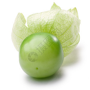 Tomatillo菲萨利斯哲学 道路蔬菜水果绿色白色植物西红柿果皮图片