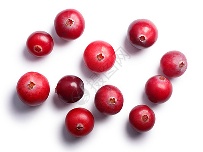 野生红莓 顶层景色 道路浆果白色水果食物荒野高架牛痘饲料红色图片