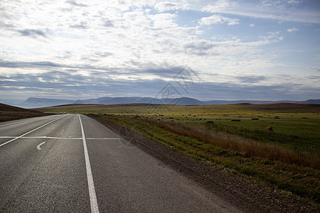 田地中间有标志的宽长公路蓝色沥青地平线自由国家风景旅行土地车道黑色图片