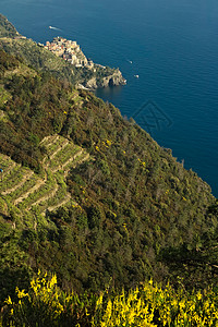 康尼格利亚呼叫辛克地球 日落时是海景 雾里扫帚季节蓝色绿色支撑气氛全景旅行天堂风景图片