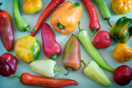 采摘不同种类的胡椒果实产品蓝色品种生食厨房团体农业蔬菜辣椒橙子图片