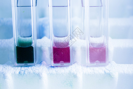 在实验室进行共生试验的试验管19技术生物学医疗管子液体化学玻璃生物物质测试图片