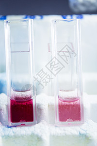 在实验室进行共生试验的试验管19药品化学生物学化学品物质技术样本白色架子测试图片