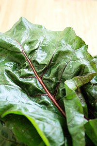 不做饭的新鲜红纸条叶子树叶甜菜饮食沙拉绿色青菜食物农业乡村图片